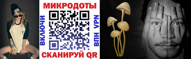 дарнет шоп  darknet формула  Галлюциногенные грибы Magic Shrooms  Валуйки  hydra ТОР 